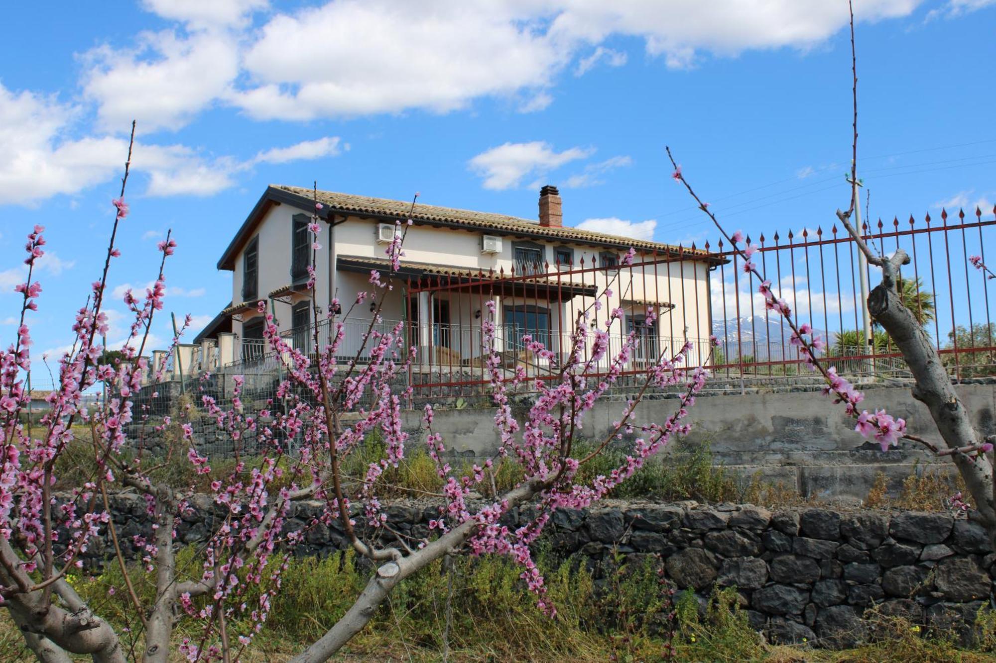Ranch Simeto Hotell Paterno  Exteriör bild